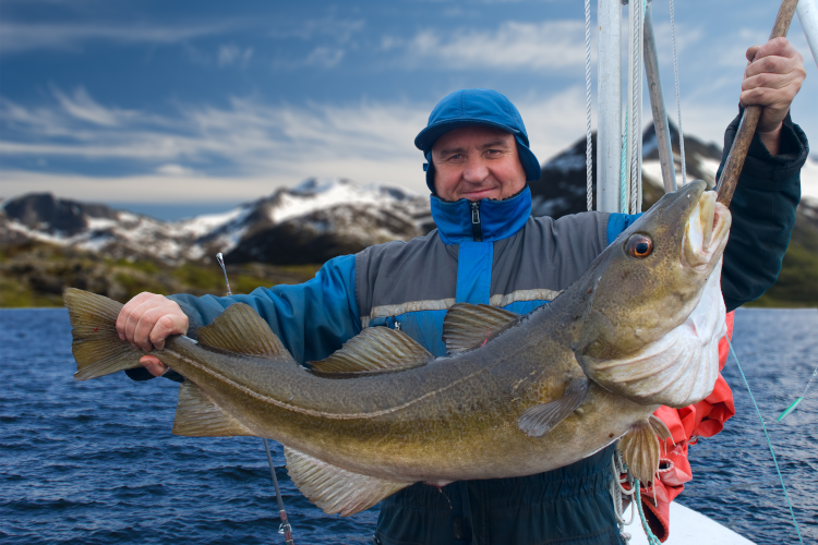 Man holding a big cod on a fishing boat