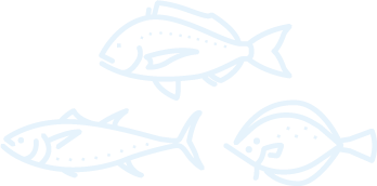 Other marine fish icon